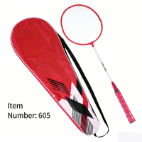 Ensemble de badminton pour enfants de haute qualité, qualité professionnelle, pointe souple légère, manche souple, poignées colorées, livraison gratuite pour les commandes en gros