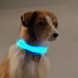Özel su geçirmez yanıp sönen ışık Up yansıtıcı Pet yaka ayarlanabilir USB tip-c için şarj lüks LED köpek aydınlık yaka köpek - Product Image 4