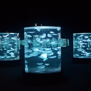 Acuario rectangular de acrílico moderno de fabricante experimentado con el mejor precio, gran tamaño especial acuario de medusas acrílicas @ - Product Image 3