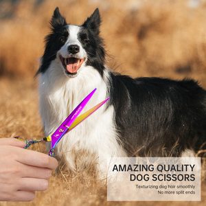 7.0 inch Màu đen/vàng/xanh 6cr cong mỏng kéo sơn hình kéo vật nuôi chải chuốt kéo thú y - Product Image 6