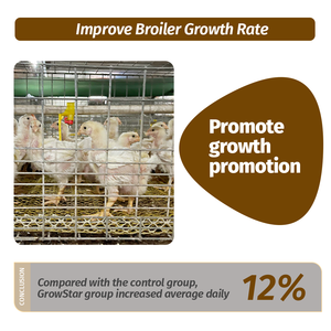 100% tự nhiên growstar composited chiết xuất thảo mộc men Probiotic để thúc đẩy gia cầm Gà Thịt tăng trưởng tăng trưởng - Product Image 3
