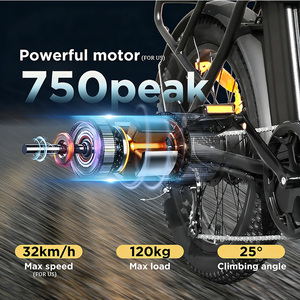 Bicicletas Eléctricas de Carga Familiares de Moda, Bicicleta Eléctrica de Carga con Motor de 750W y Neumáticos Anchos - Product Image 5