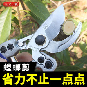 Tijeras de podar de acero inoxidable de 20-30 mm para árboles frutales y uso en jardín - Product Image 2
