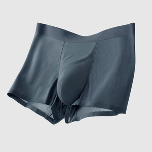 Venta al por mayor de Bóxers personalizados para hombre, fabricante de moda, nueva marca, transpirable, sin costuras, de nailon, ropa interior para hombre - Product Image 5