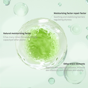 Gel de <span class=keywords><strong>Aloe</strong></span> Vera 98% <span class=keywords><strong>Puro</strong></span>, Orgánico y Natural de Fábrica Original, Hidratante Facial, Calmante y Reparador, con Ácido Hialurónico para Todo Tipo de Piel - Product Image 3