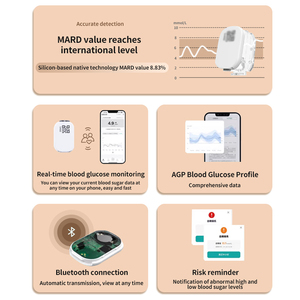 Wholesale SiBio Joy CGM Sensor and Transmitter 14 Days Continuous Glucose Monitoring System Dynamic <strong>Diabetes</strong> <strong>Tester</strong> Factory - Product Image 2