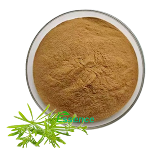 Extracto de Gaillet Gratteron 10:1 20:1, Ingrediente Natural, Extracto Puro de Planta de <span class=keywords><strong>Galium</strong></span> Aparine en Polvo al Mejor Precio - Product Image 1