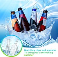 Seau à glace double couche durable en plastique transparent Sinowin SW-IB01, personnalisable avec logo, pour boissons de fête, vin et bière, 4L