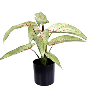 Feuilles d'<span class=keywords><strong>Arum</strong></span> Artificielles Bonsaï Fée <span class=keywords><strong>Arum</strong></span> Paysage Tropical Plantes Maison Bureau Jardin Décoration de Style Nordique - Product Image 2