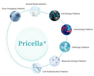 MEM Non-Essential Amino Acid <strong>Solution</strong> (NEAA) 100 X - Product Image 4
