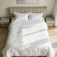 Parure de lit d'hôtel en microfibre suédée 140 GSM, 4 pièces, housse de couette et drap résistants au lavage pour la vente en gros aux hôtels