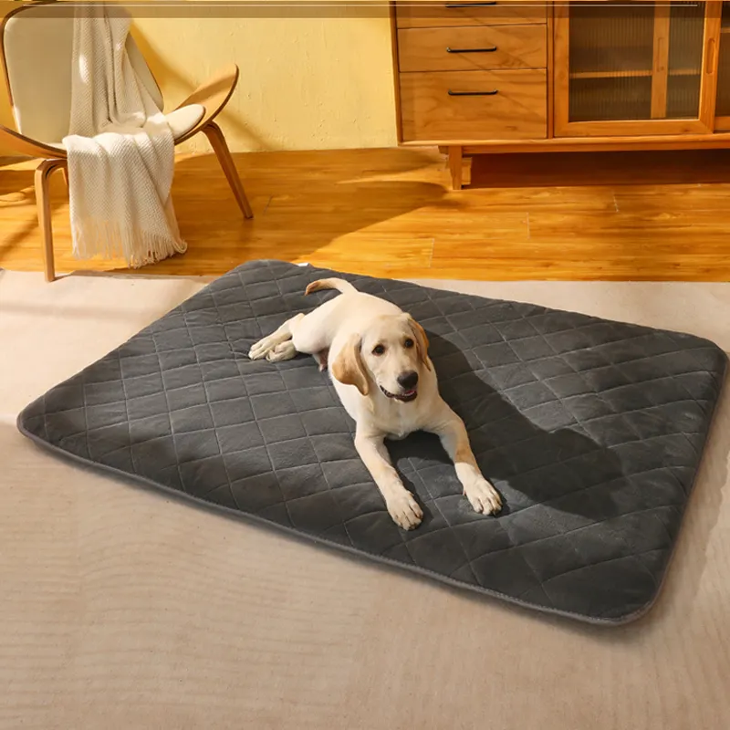 Sofá plegable de lujo para mascotas, suave y portátil, lavable, venta al por mayor