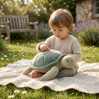 Peluche Tortue Décoration Minimaliste Maison Logo Personnalisé ODM OEM Cadeau Anniversaire Fête Souvenir Événementiel Animal en Peluche
