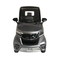 EEC 3kw Mini SUV électrique automatique à propulsion arrière avec direction hydraulique, autonomie maximale de 100 km NEDC, sièges en cuir, caméra arrière