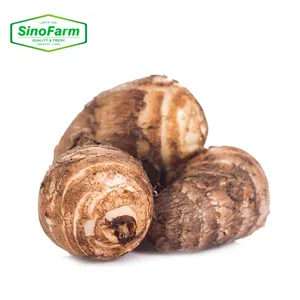 Sinofarm New Crop Of Chinese Taro Root Factory Supply Fresh Vegetables Fresh And Air Dried Taro Frozen Taro Bulk Price For Sale