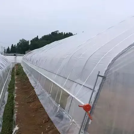 Serra agricola/commerciale di buona qualità e facilmente installabile