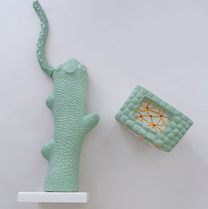 Biologie-Unterricht Hydra Strukturmodelle Anatomisches Zoologie-Modell für die Mittelschule - Product Image 2