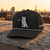 Vijfpanelige golfpet met teamborduurlogo, OEM, op maat gemaakt, kleine minimale bestelhoeveelheid, premium gewassen katoen, gebogen klep, klittenbandsluiting