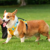 Harnais pour chien rembourré de qualité supérieure, sans traction, réglable, réfléchissant, en maille respirante, en polyester, avec fermeture à bouton, pour petite race, personnalisé