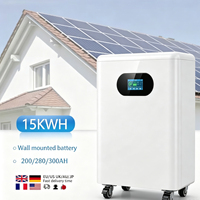 Système solaire de 15 kWh pour le stockage d'énergie domestique, connecteur industriel, batterie au lithium LiFePO4 51,2 V 280 Ah, volant d'inertie