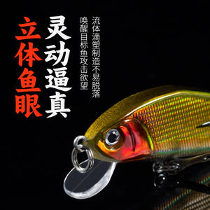 Señuelo Ikeba Minnow Cr12252 2, cebo de fondo de hundimiento lento para pesca de carpa cruciana en agua dulce - Product Image 1