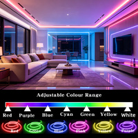 Tira de Luz LED RGB RGBW Inteligente y Flexible 5050, Luz Uniforme sin Puntos, IP67, Tubo de Silicona de 5 Metros para Exteriores y Uso Comercial