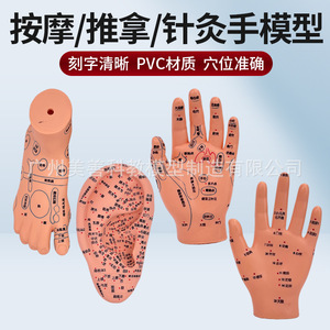 Modelo de acupuntura para oído, pie y mano, claramente grabado, para masaje auricular y acupuntura, 16 cm. - Product Image 3
