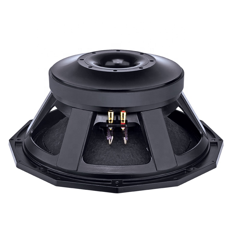18 Inch Speaker PA System 3000W with 6 Inch Voice Coil & Double