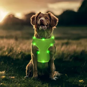 맞춤형 로고 최고의 판매자 충전식 라이트 업 조정 가능한 조끼 가슴 LED 애완 동물을위한 애완 동물 개 하네스
