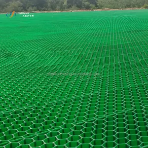 Camino de plástico para camino de coche, pavimentos permeables de Hdpe de 50mm de altura, para césped, refuerzo, Red de plantación, productos