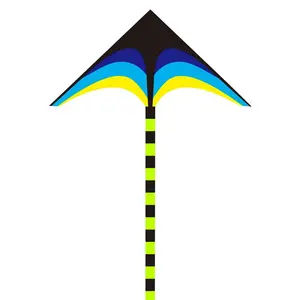 Hot Sale The Kite Factory Cheap Promotional Triangular toy Polyester Kites for Kids