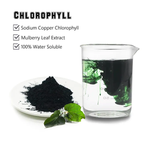 Cairan Chlorophyll Drops Oem Label pribadi tetes Chlorophyll cair Splina cairan Chlorophyll - Product Image 4