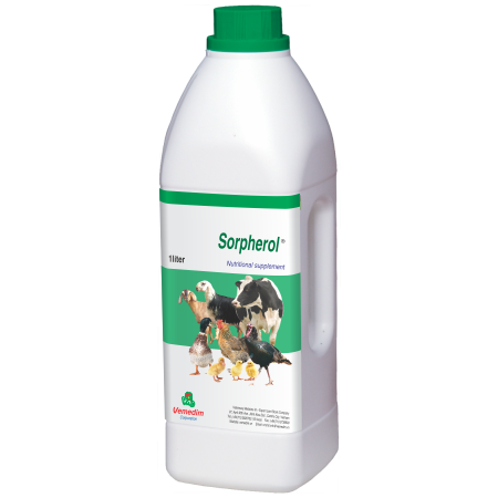 Promote detoxication of liver and kidneys, and to assist in optimal digestion of fats for swine, Dog Sorpherol