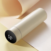 Bouteille d'eau à affichage de température de 500ml Thermos en acier inoxydable fiole à vide