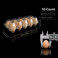 Boîte à œufs en PET transparent à 10 compartiments, compatible avec les machines d'emballage d'œufs pour les fermes avicoles et les centres d'emballage OEM