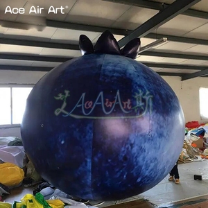 Globos Inflables Gigantes de Arándanos de 5 m, Modelos de Frutas Inflables para Publicidad de Apertura de Tiendas, Arándanos Inflables para Eventos - Product Image 3