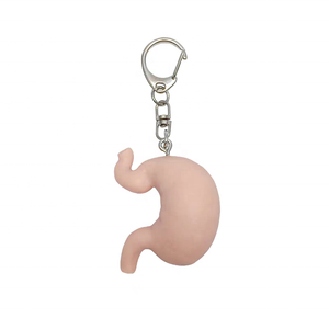 Modèle d'organes internes simulés : Cœur, Foie, Rate, <span class=keywords><strong>Poumon</strong></span> et Rein – Modèle anatomique cardiaque pédagogique avec pendentif porte-clés - Product Image 6