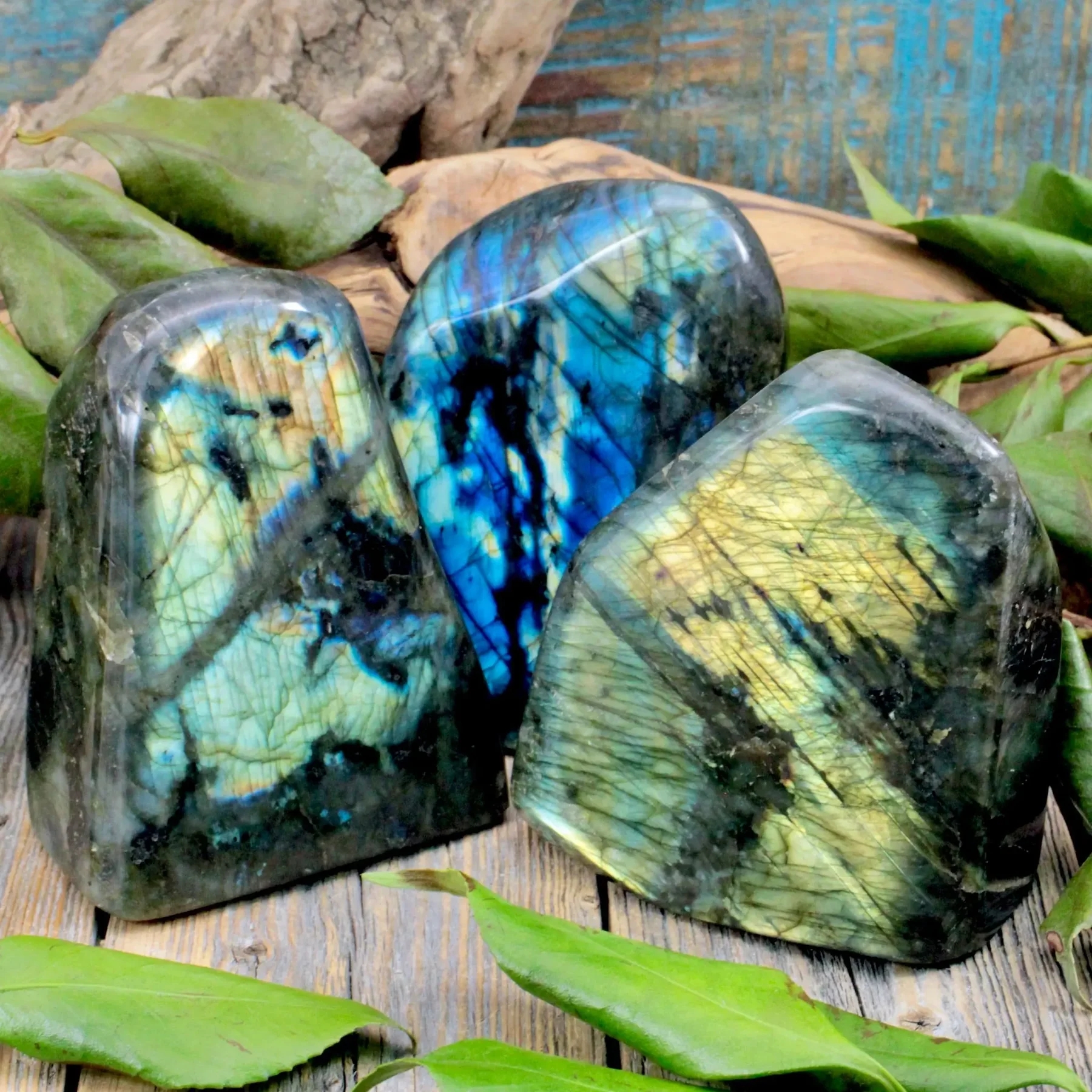 Ornements en labradorite de formes libres