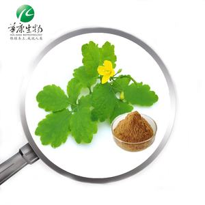 Polvo de Extracto de Celania (Chelidonium Majus) |   Quelidonina Estandarizada al 2% |   4:1 & 10:1 - Product Image 1