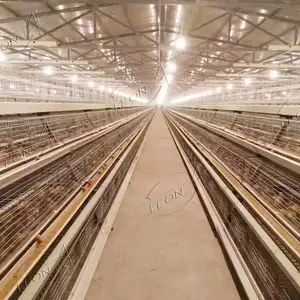 Gabbie per animali da gallina tipo A zincato A caldo A basso prezzo per forniture per allevamenti di pollame - Product Image 6