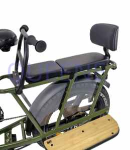 QUEENE/Nouveau Design <span class=keywords><strong>20</strong></span> <span class=keywords><strong>Pouces</strong></span> Suspension Complète 48V500W 750W Vélo Électrique Dépliable Cargo E Bike - Product Image 4