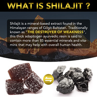 80P Bodywise Shilajit Gummies Extraits purs de plantes Himalaya Shilajit Gummies in Wild-Cultivated Bottle OEM Be