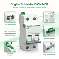 Disjoncteur miniature IC65N 100% neuf d'origine, 2A 6kA, disjoncteur miniature (MCB) pour la protection contre les surintensités dans les circuits