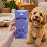 Étiquette suspendue personnalisée en forme de patte pour animaux de compagnie avec trou pour collier et laisse de chiot, fournitures pour petits animaux