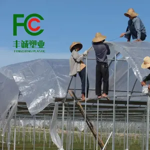 6mil UV Resistant Plastic Agriculture Poly Film Control Solar Waterproof Woven Plastic Film Greenhouse For Sale