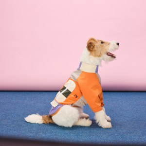 Impermeabile Classico per <span class=keywords><strong>Cani</strong></span> in Poliestere Resistente allo Sporco, Abbigliamento Techwear per <span class=keywords><strong>Cani</strong></span> di Taglia Grande per Giorni di Pioggia - Product Image 1