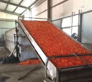 Pompe à chaleur de dessiccateur de nourriture de ceinture de maille d'hydrateur pour la machine séchée de séchage de fruits et légumes - Product Image 2