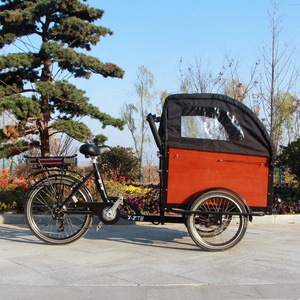 Triciclo Eléctrico de Carga con 4 Cinturones de Seguridad para Bebés, Nuevo Triciclo de Tres Ruedas para Adultos, Triciclo de Carga Moderno y de Ocio - Product Image 3