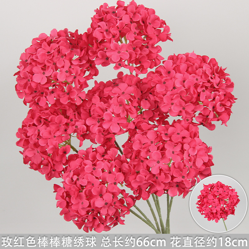 Rose red lollipop hydrangea branch