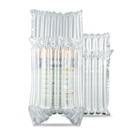 Sacs à coussin gonflable avec pompe, pour le transport sécurisé de bouteilles en verre, coussin d'air, 2 unités
